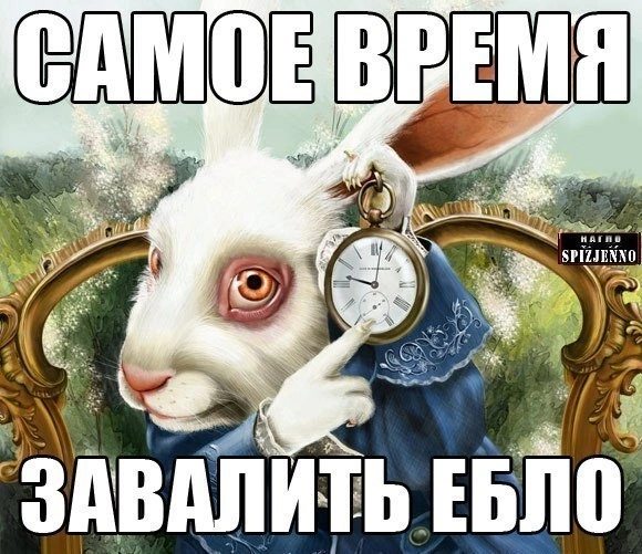 3863788.webp