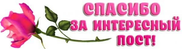 386682_600.webp