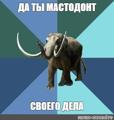 3898b86ba63bb3c81cfdd15aa17aa4ca.webp