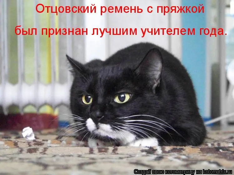 396145.webp