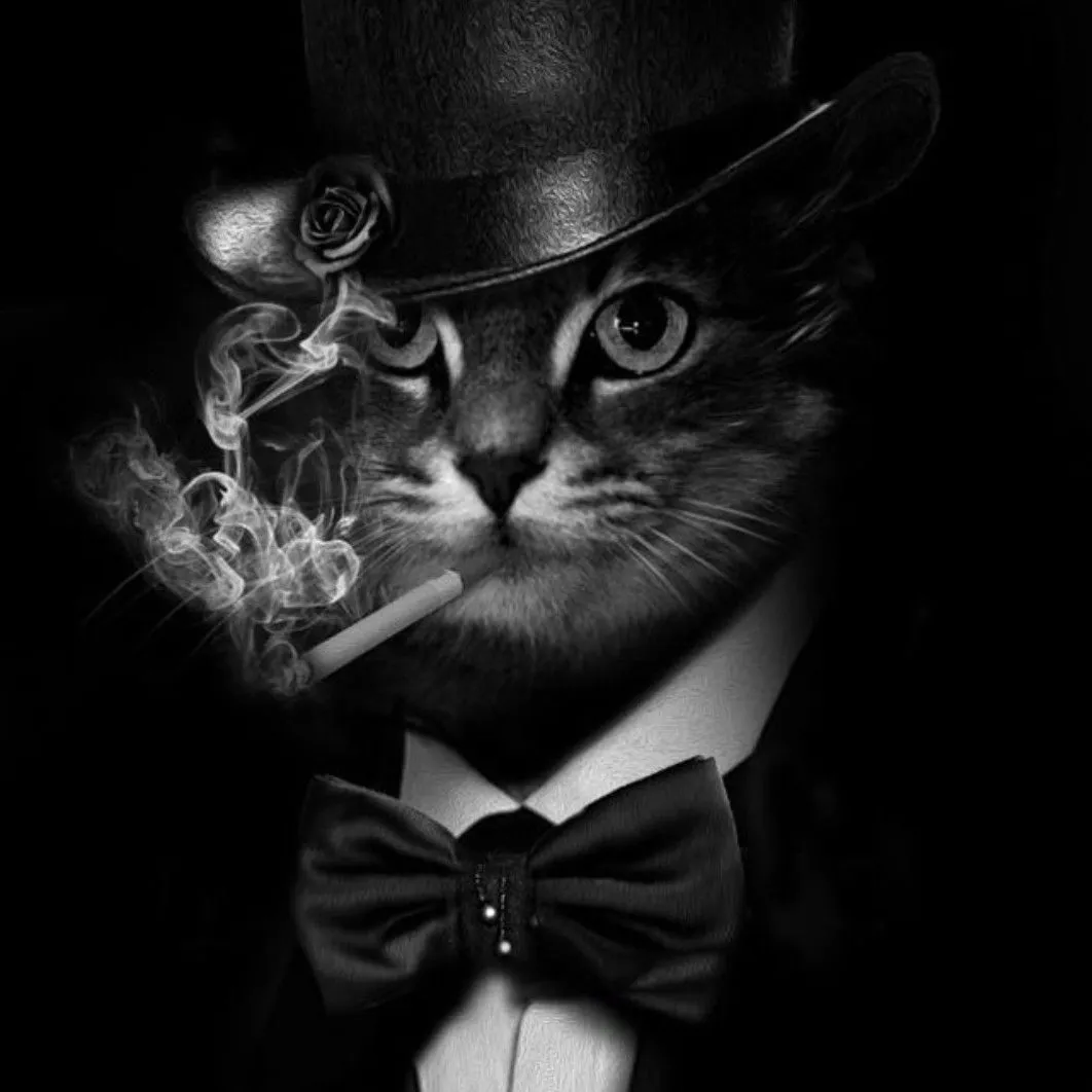 3acac3d57d023768f2ecb62986af8b2c.webp