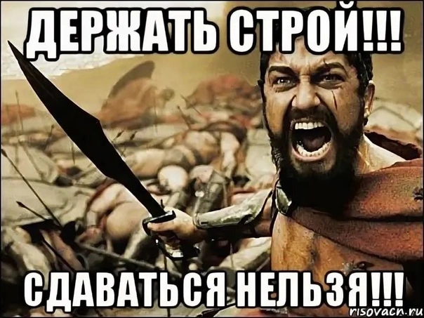 3C8Z8_iveTA.webp