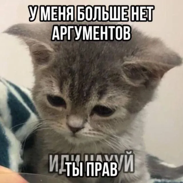 3e3b16dfde0b036f26d3b4374058838b.webp