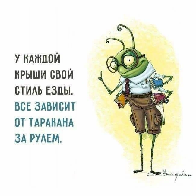 3e907cdc-df9a-441f-9e25-4eedcb25efdf.webp