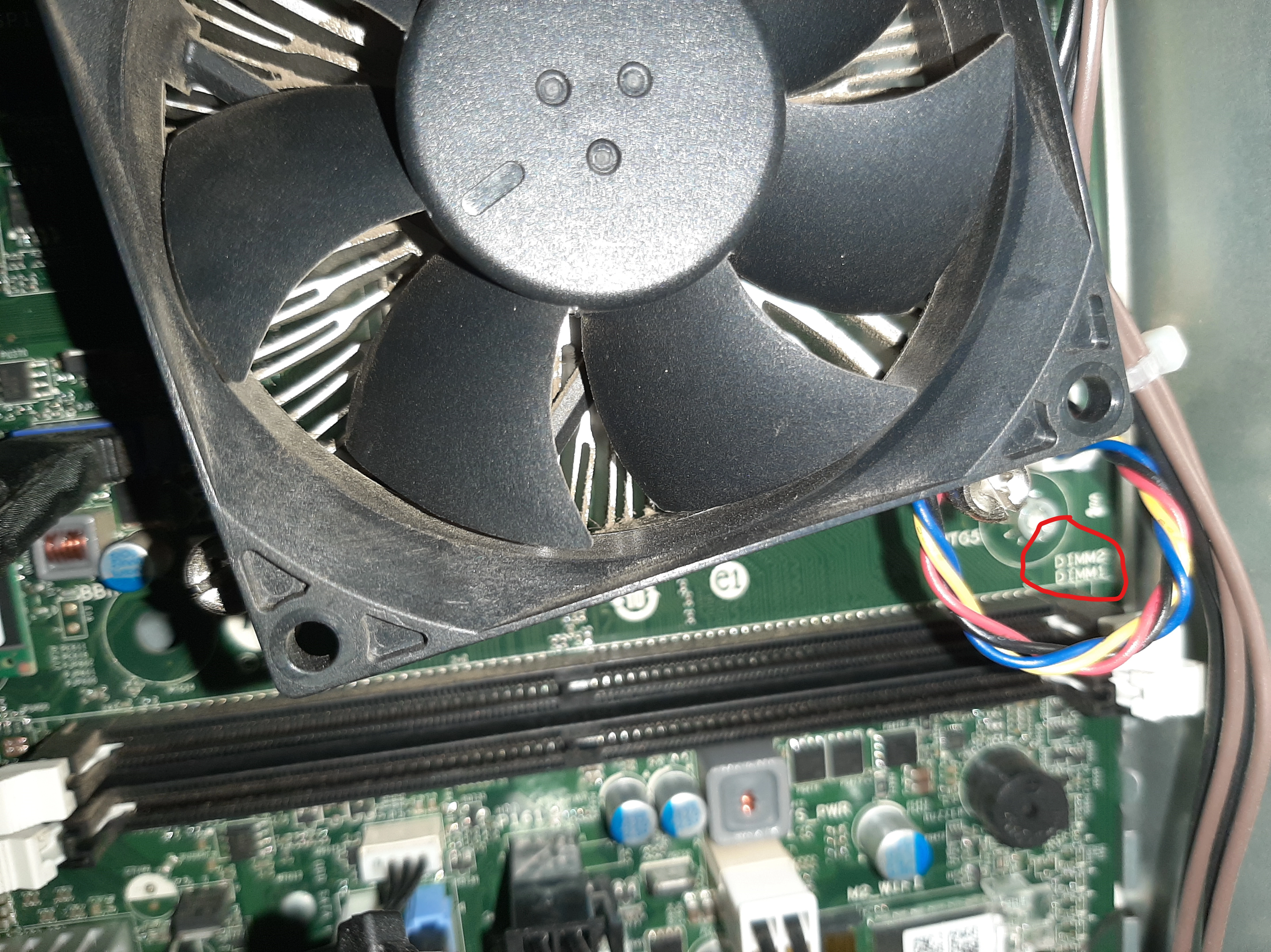 4.webp