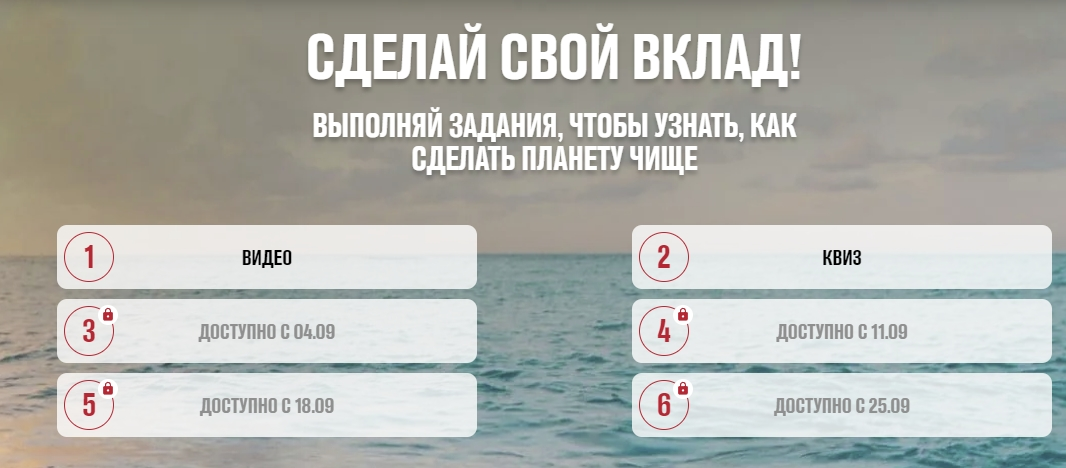 4.webp