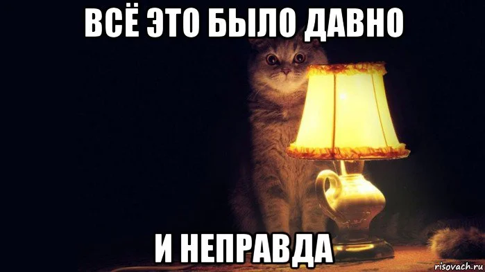 4.webp
