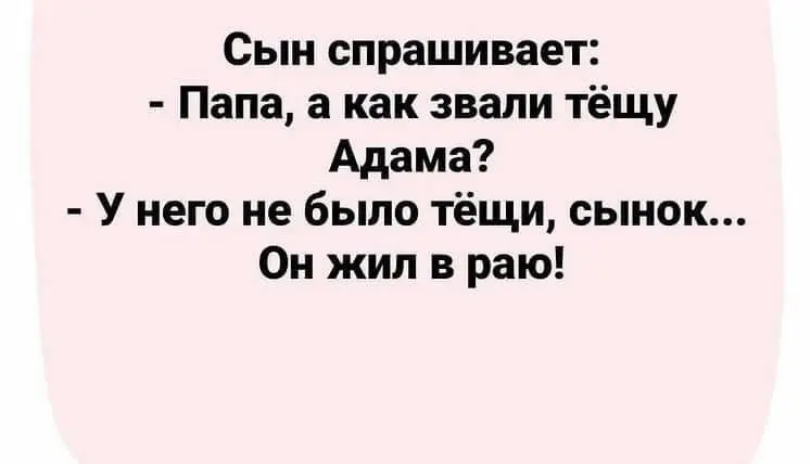 40906093-8c24-467d-bd9b-5404cb6278be.webp