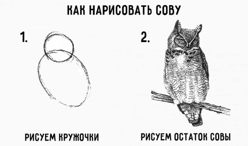 40cc61f5d4aa464e9af53a8f1f618a89.webp