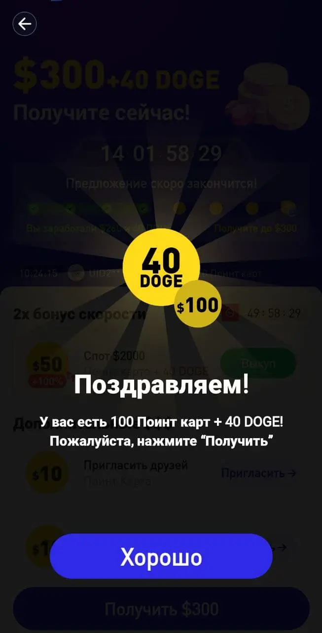 40doge.jpg