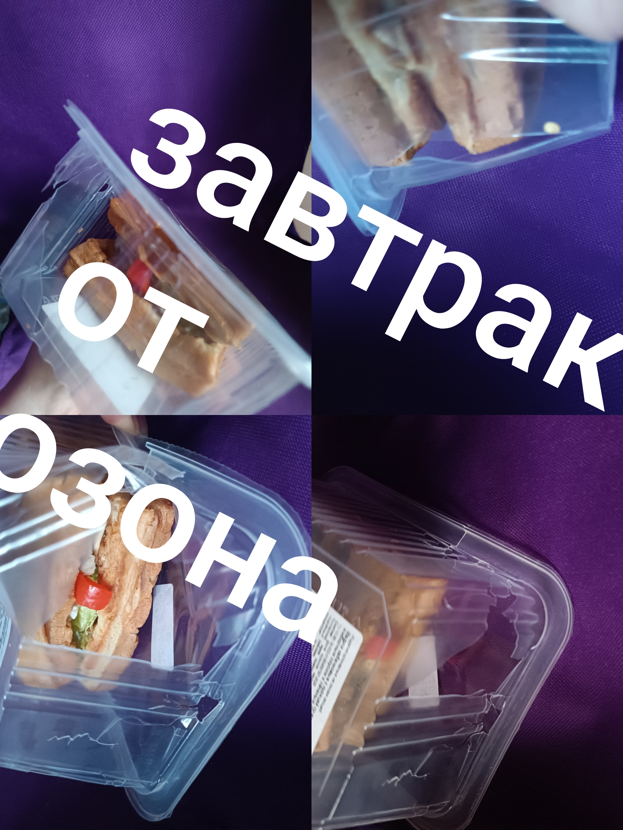 4116.webp