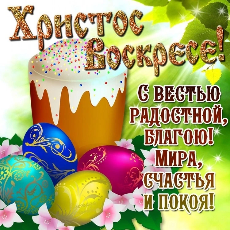 4135e16s-960.webp