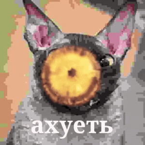 42.gif