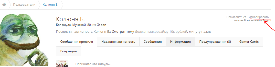 423637347458458458.webp