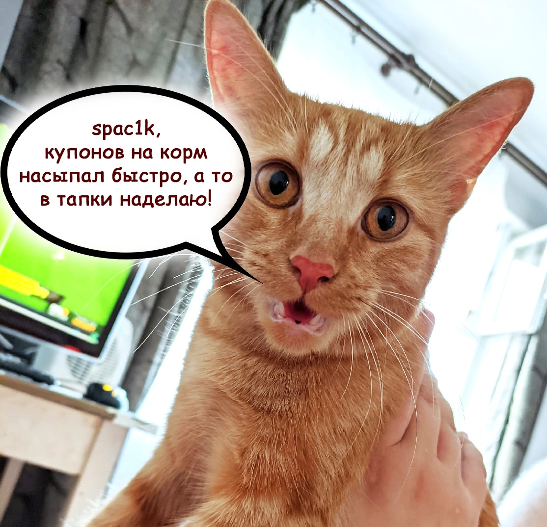 435435.webp