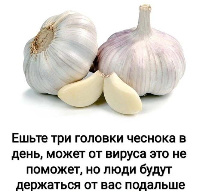 444.webp