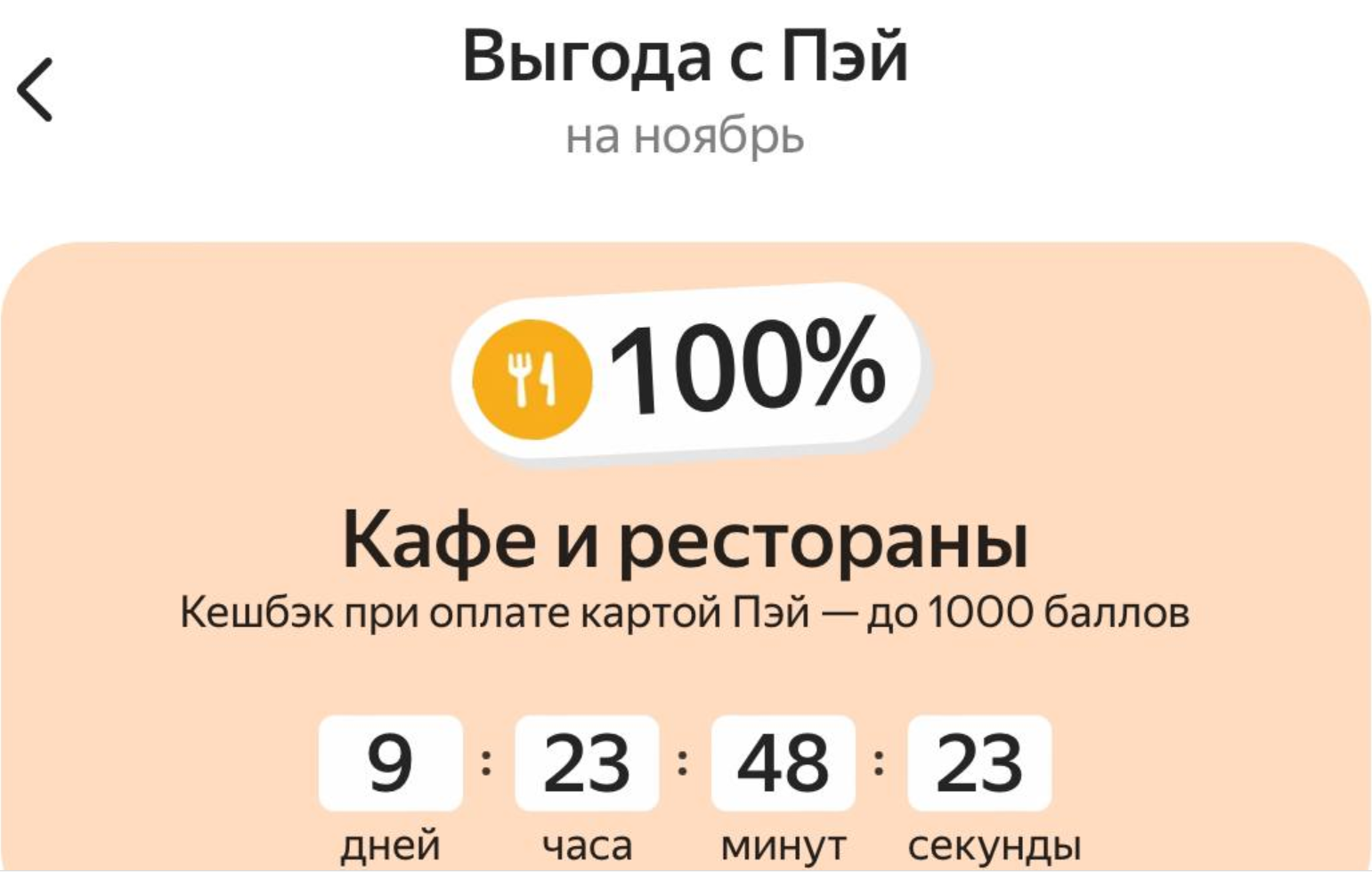 455005.webp