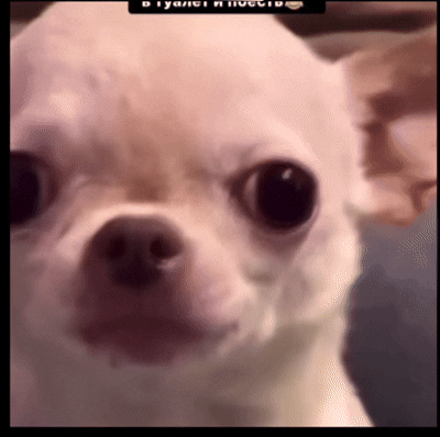 473364512.gif