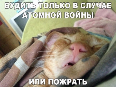4817602.webp