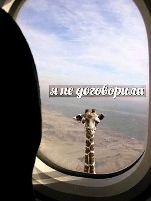 4960d57c4adf2954a259789f6e82a032.webp