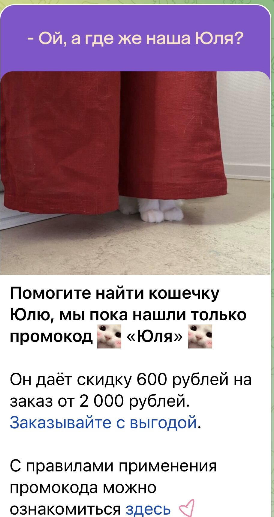 4A27B825-A0AD-4584-9165-AE0A494D315E.webp