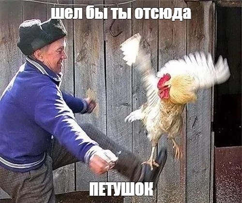 4bdb099dc0f2d9ee9ac4214500aa60f1.webp