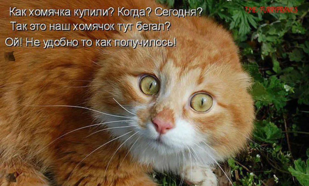 4e4c806645360f9057370ca31bb61a2b.webp