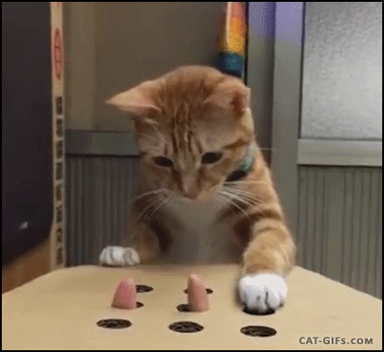 4e91b4c5071c9f5033a77f6ddd56ebd5.gif