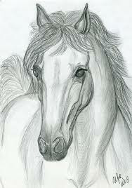 4eead2d7-5591-4053-878a-cd596504809f.webp