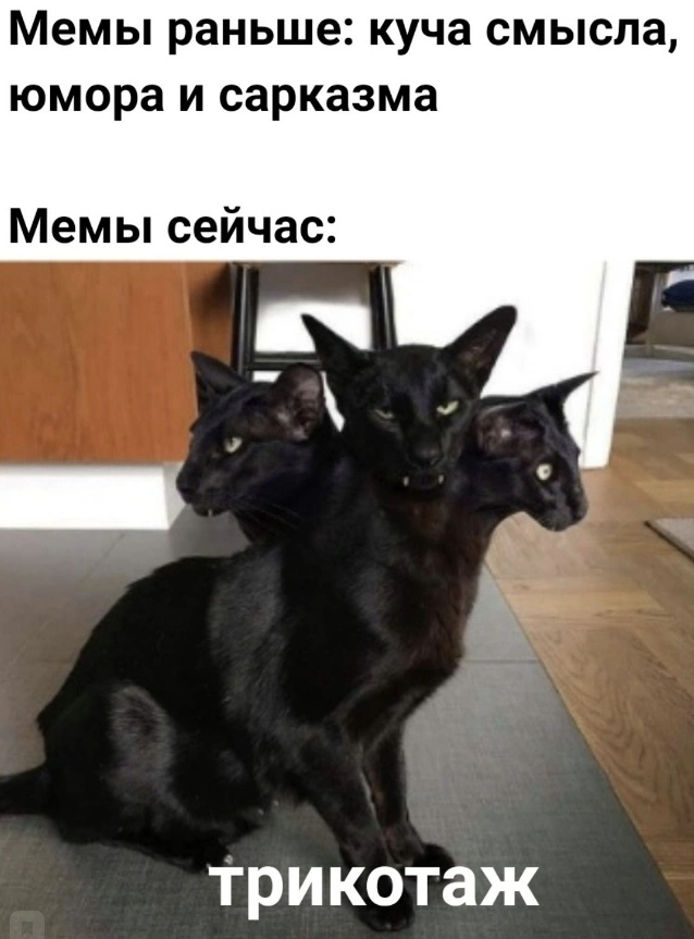 4YgbehB7lKE.webp