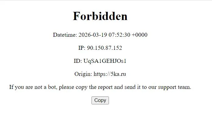 5.webp