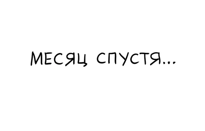 5.webp