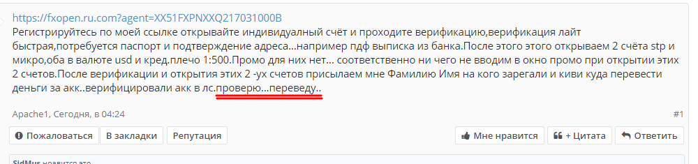 5.webp