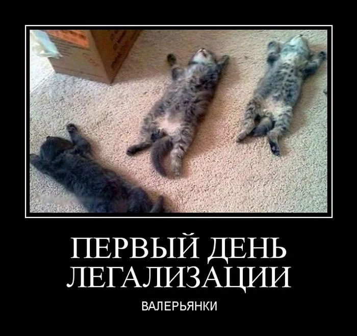 5.webp