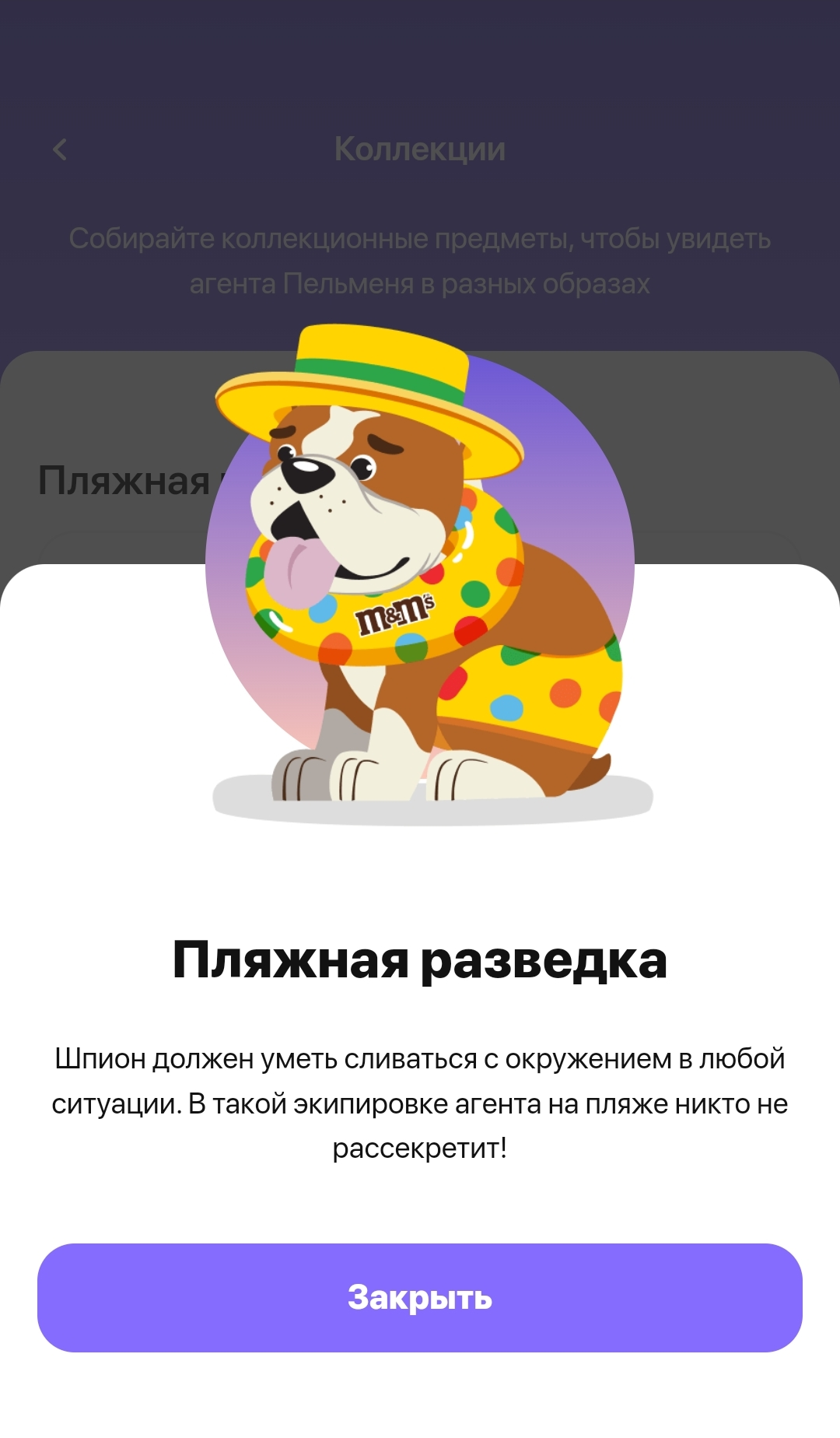 5.webp