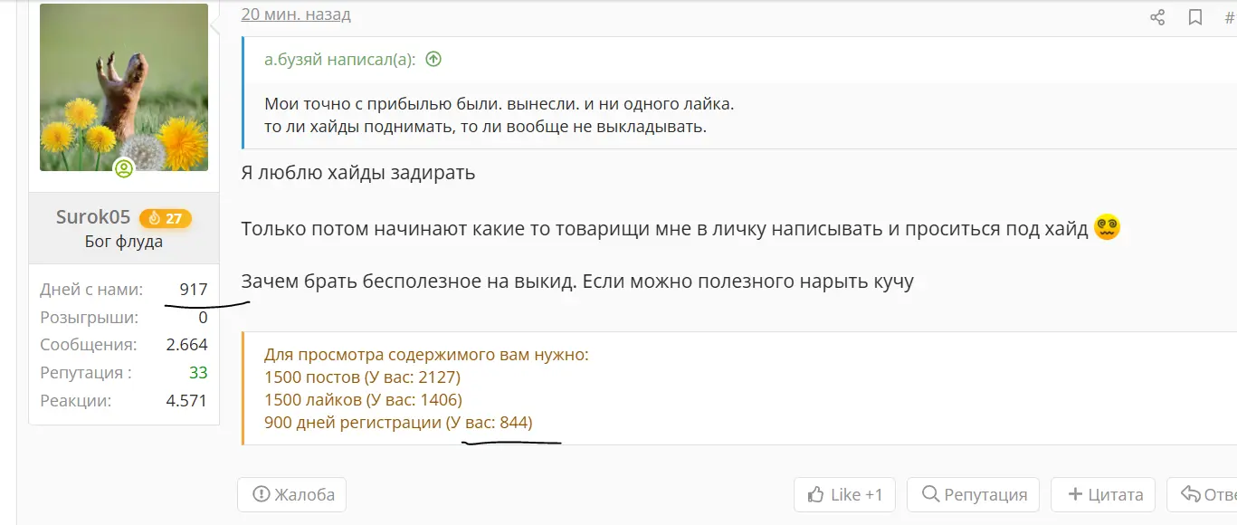 51.webp