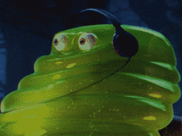 51FA8204-8C6B-444C-BF45-E62CCEE98D1F.gif