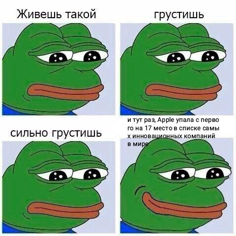 52602133_2334205673277966_3669164945787846656_n.webp