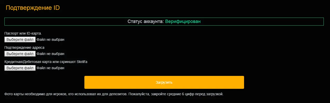 53454354.webp