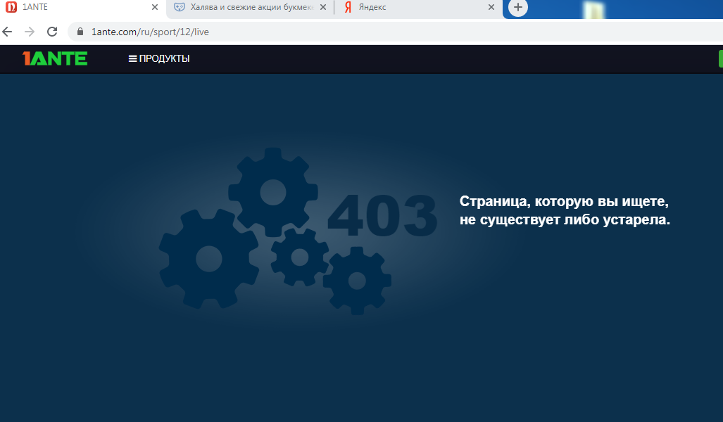 5345455.webp