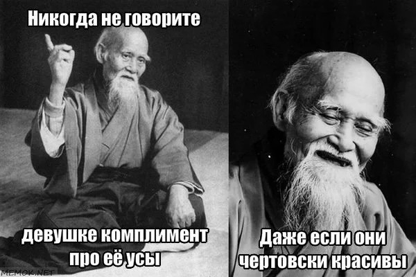 54056dbc35bde.webp