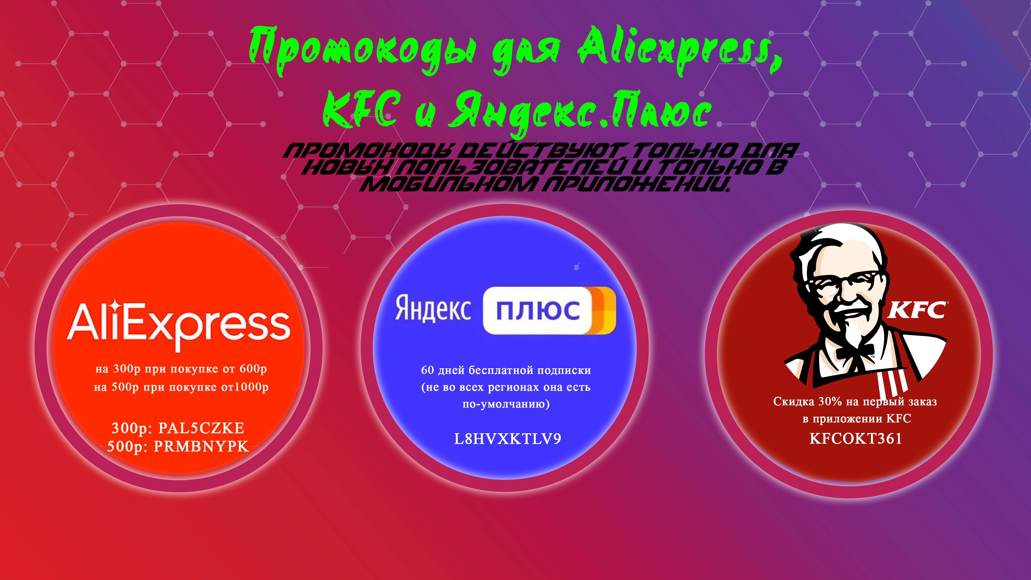 54365.webp