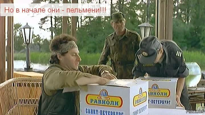 555.webp