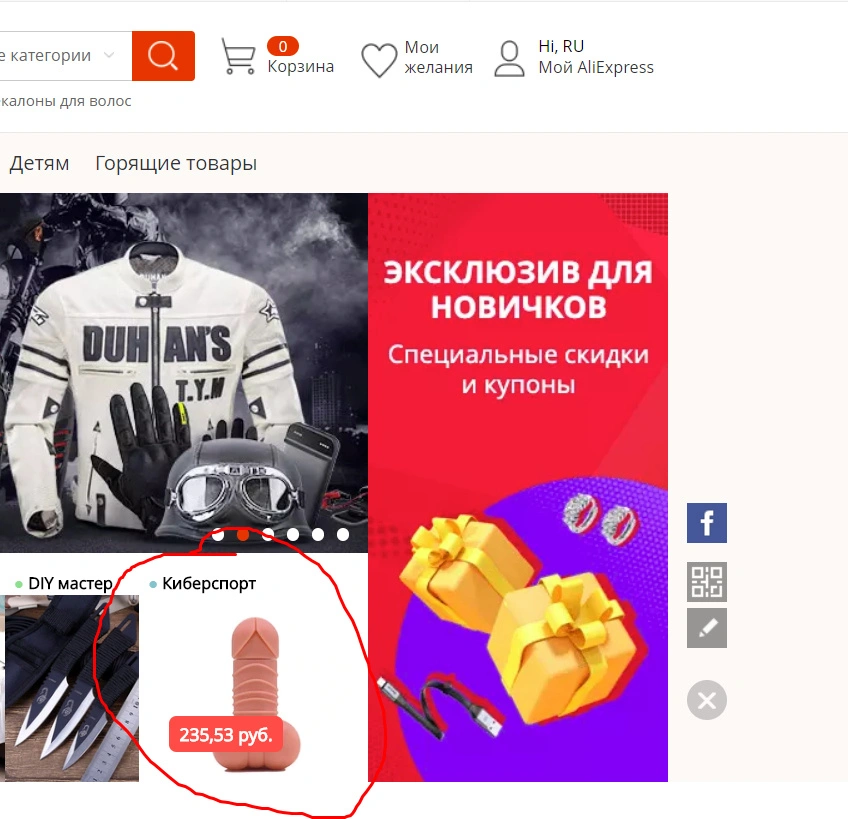 5555.webp