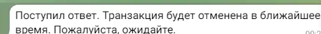 5556.webp