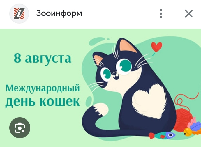 561.webp