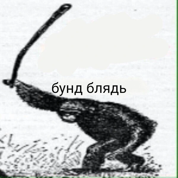 5618866C-B71C-43EF-9E3A-41EB082AA515.webp