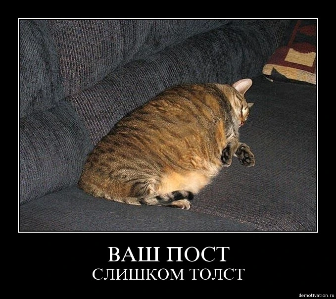 5670804.webp