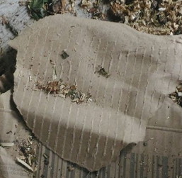 56ryh.webp