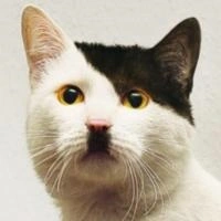 5896d6f221dae.webp